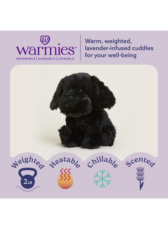 warmies Microwavable & Weighted Stuffed Animals, Black Lab - Heated Stuffed Animal Plushie for Warmth & Comfort - Cute Soft Plush Toys for Adults & Children (Boys, Girls, Babies & Toddlers) - Image 2