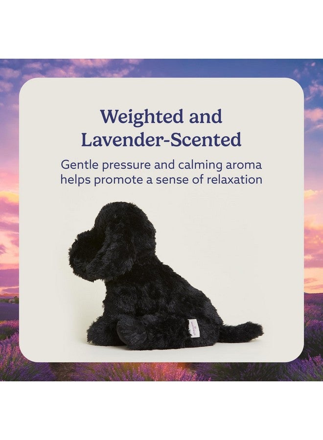 warmies Microwavable & Weighted Stuffed Animals, Black Lab - Heated Stuffed Animal Plushie for Warmth & Comfort - Cute Soft Plush Toys for Adults & Children (Boys, Girls, Babies & Toddlers) - Image 3