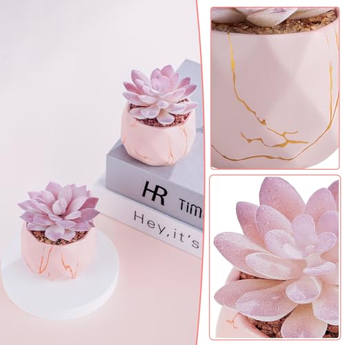 ZENIDA Artificial Succulent Plants in 2 Pink Ceramic Pots, Cute Fake Plants for Vanity Decor,Office, Desk, Bathroom, Kitchen,Bedroom, Shelves Decor for Women,Girls Gift - Image 4