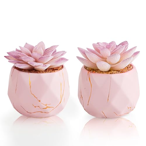 ZENIDA Artificial Succulent Plants in 2 Pink Ceramic Pots, Cute Fake Plants for Vanity Decor,Office, Desk, Bathroom, Kitchen,Bedroom, Shelves Decor for Women,Girls Gift - Image 1
