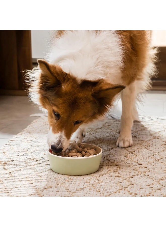 Open Farm Freeze Dried Homestead Turkey Recipe Dry Dog Food 99G - Image 3