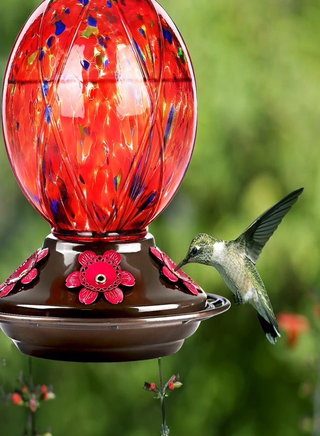 BOLITE Hummingbird Feeder 18016R, New - Image 3