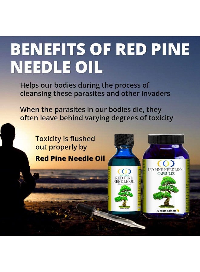 Optimally Organic Red Pine Needle Oil 2oz - Daily Drops for Extreme Immune Support - BioActive Cell & DNA Support - 1290 Drops - 3 to 7 Drops Per Dose -Vegan Body Cleanse - Longevity Oil - Image 4