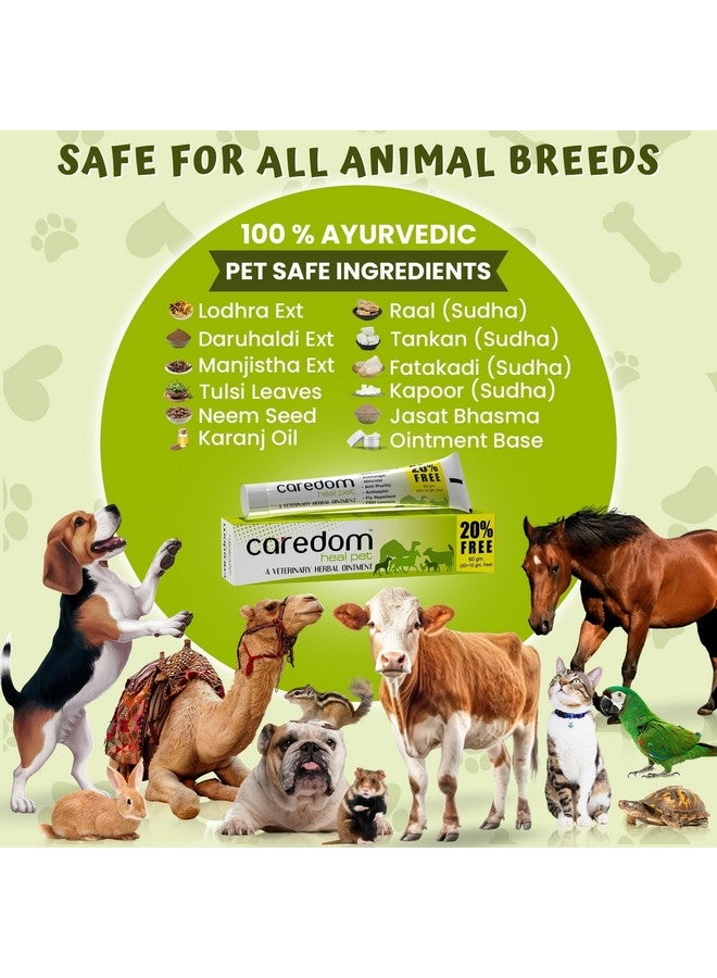Caredom كاردوم هيل بيت | مرهم عشبي بيطري | كريم عدوى فطرية لجميع أنواع الجروح | حروق | جروح | مشاكل جلدية وآفات F.M.D. - لجميع الحيوانات الأليفة | 60 جرام - Image 2