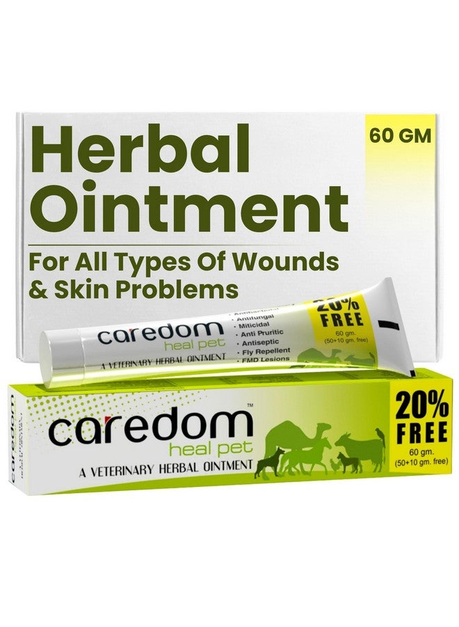 Caredom كاردوم هيل بيت | مرهم عشبي بيطري | كريم عدوى فطرية لجميع أنواع الجروح | حروق | جروح | مشاكل جلدية وآفات F.M.D. - لجميع الحيوانات الأليفة | 60 جرام - Image 1