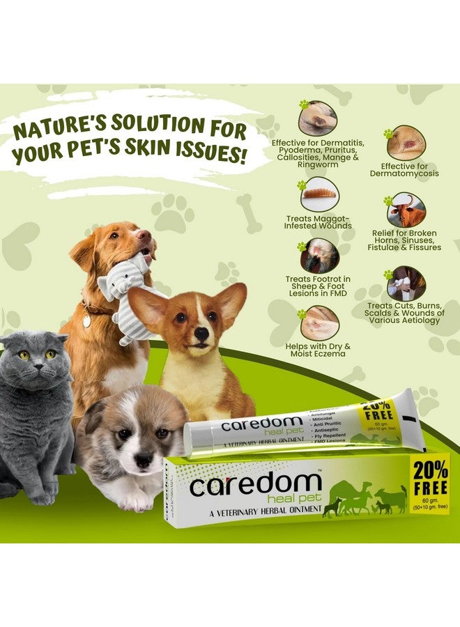 Caredom كاردوم هيل بيت | مرهم عشبي بيطري | كريم عدوى فطرية لجميع أنواع الجروح | حروق | جروح | مشاكل جلدية وآفات F.M.D. - لجميع الحيوانات الأليفة | 60 جرام - Image 4