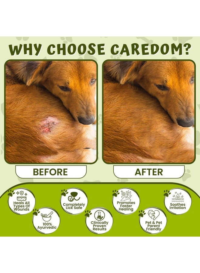 Caredom كاردوم هيل بيت | مرهم عشبي بيطري | كريم عدوى فطرية لجميع أنواع الجروح | حروق | جروح | مشاكل جلدية وآفات F.M.D. - لجميع الحيوانات الأليفة | 60 جرام - Image 5