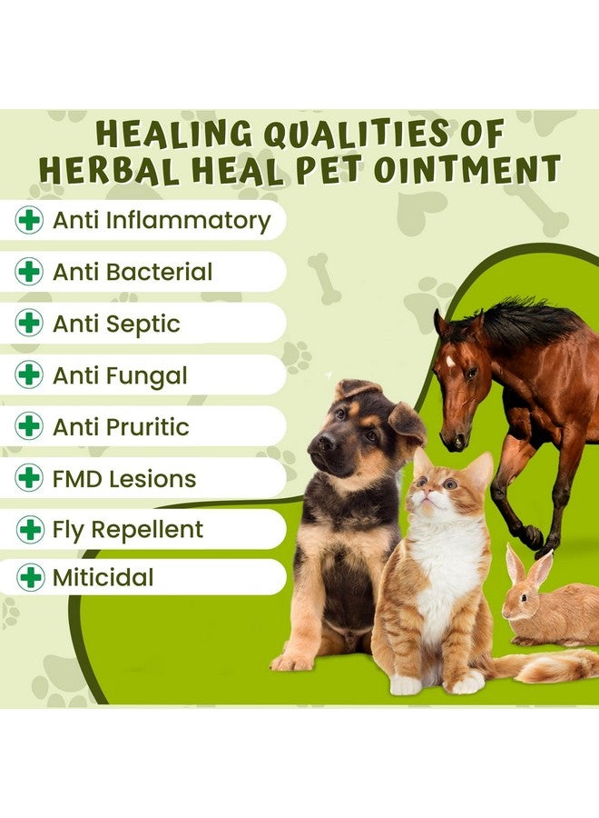 Caredom كاردوم هيل بيت | مرهم عشبي بيطري | كريم عدوى فطرية لجميع أنواع الجروح | حروق | جروح | مشاكل جلدية وآفات F.M.D. - لجميع الحيوانات الأليفة | 60 جرام - Image 3