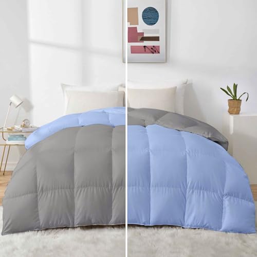 Razzai 500 GSM Winter Comforter Premium Collection Quilted Revesible Comforter (90" x 90" Inches/228cm x 228cm) - Queen Size | Silver/Sky Blue - Image 1