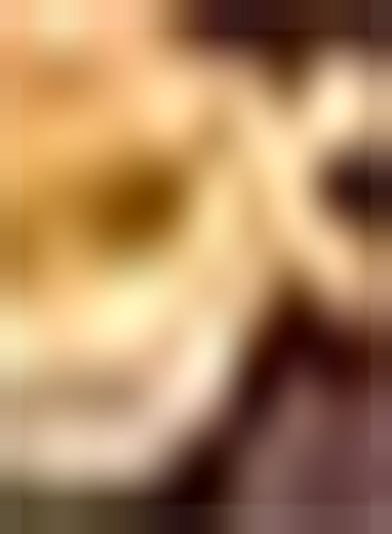 GGOOT 30 Cantaloupe Samen die im Garten im Freien gepflanzt Werden mehrjährige Reben Kletterfrüchte süßes und saftiges Fruchtfleisch das von Kindern geliebt Wird - Image 1