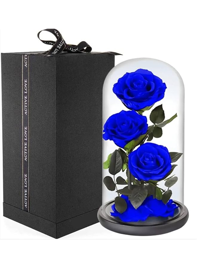The Bros Large-size Forever Rose, Real Eternal Rose in Glass Dome Preserved Flower with Luxury Gift Box - Gift for Valentine's Day Mother's Day Wedding Anniversary Birthday (Blue,Three Roses)