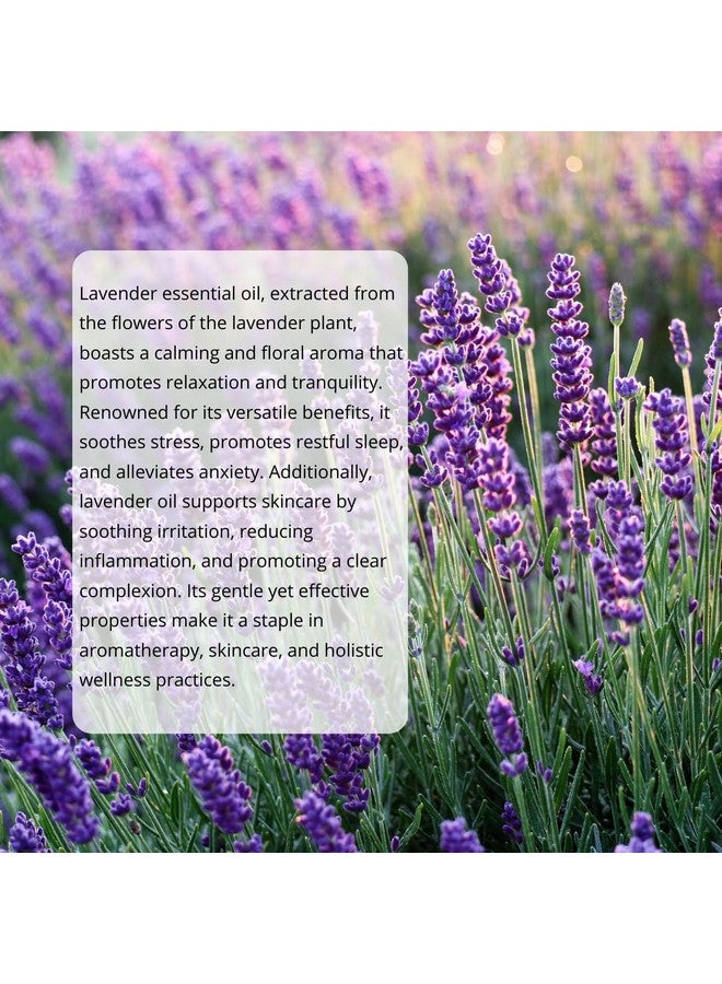 Treezio Lavender Essential Oil For Healthy Hair & Growth, Skin, Hair Fall Control and Relaxing Sleep.100% Pure & Natural(15ML) - Image 3