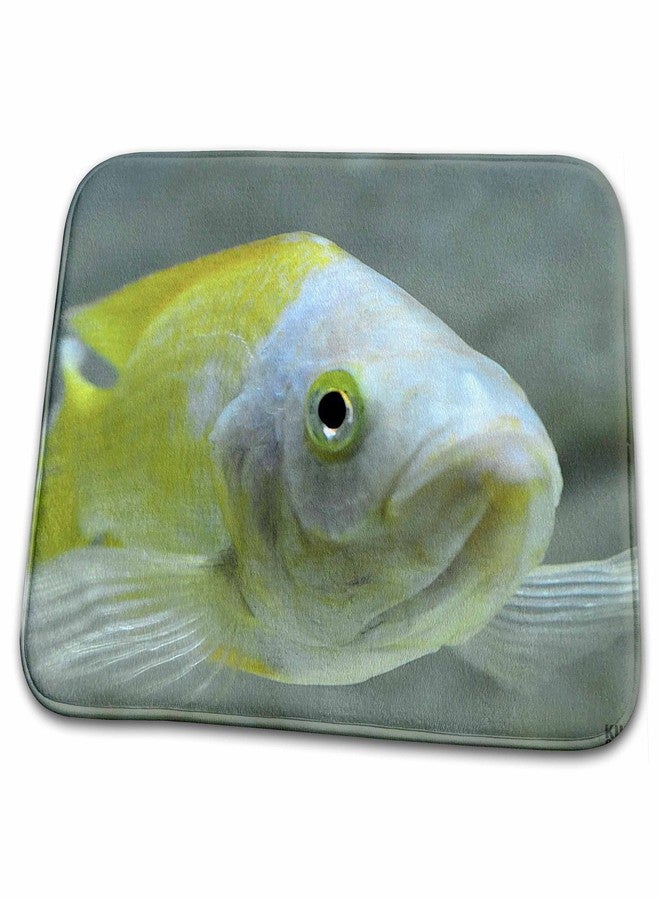 3DROSE Dish Drying Mat - Picturing fish in the biggest river aquarium in Europe Animals - Image 1