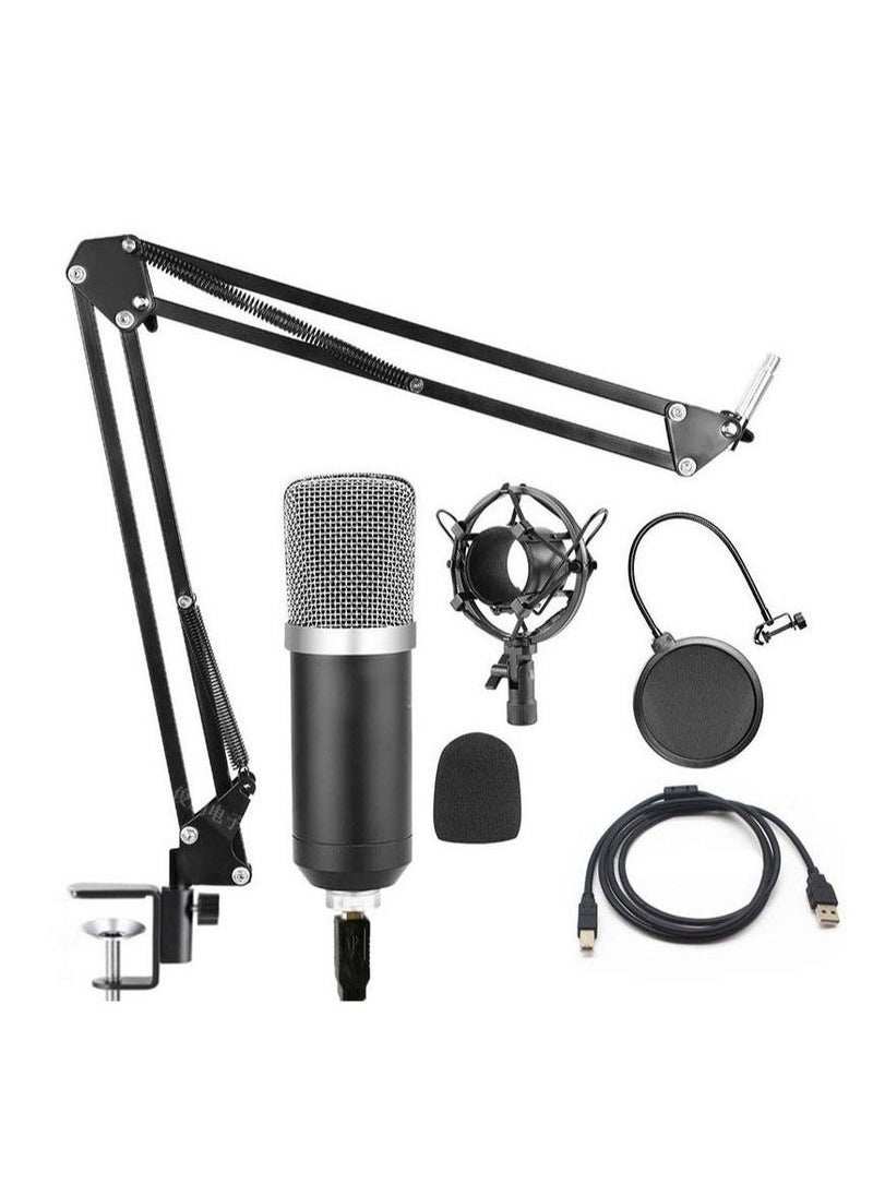 TIGER USB Condenser Microphone Kit for PC & Laptop – 192kHz/24Bit Professional Cardioid Mic with Adjustable Scissor Arm, Shock Mount & Pop Filter – Ideal for YouTube, Gaming, Podcasts, Streaming -- Voiceover & Karaoke Recording  - Image 1