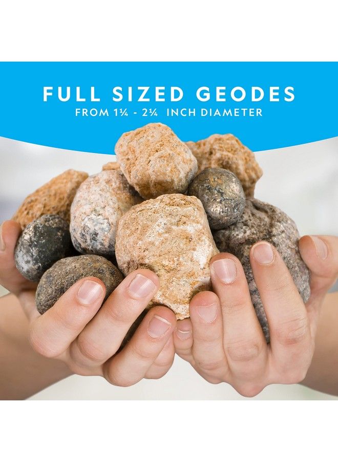 NATIONAL GEOGRAPHIC Break Open 15 Premium Geodes With Goggles Detailed Learning Guide 3 Display Stands Great Stem Science Toy & Educational Gift  - Image 5