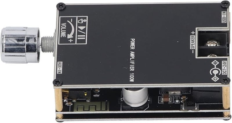 Single Channel 100W Amplifier Module Board with AUX USB Input Power Supply - Image 1