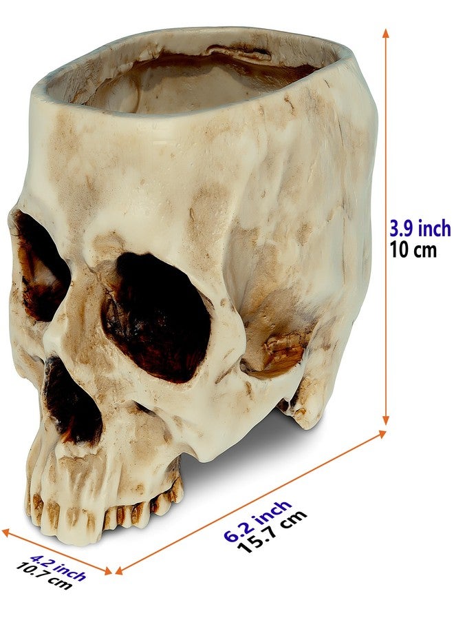 READAEER Skull Planter with Drain Hole, Resin Skull Shaped Flower Pot Candy Bowl, Gothic Decoration for Home Office Desk- White - Image 2