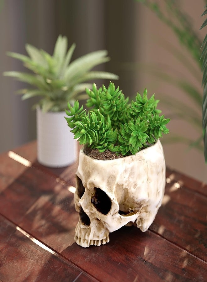 READAEER Skull Planter with Drain Hole, Resin Skull Shaped Flower Pot Candy Bowl, Gothic Decoration for Home Office Desk- White - Image 5