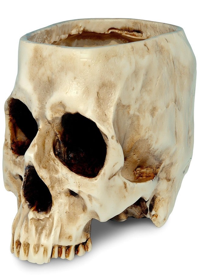 READAEER Skull Planter with Drain Hole, Resin Skull Shaped Flower Pot Candy Bowl, Gothic Decoration for Home Office Desk- White - Image 1