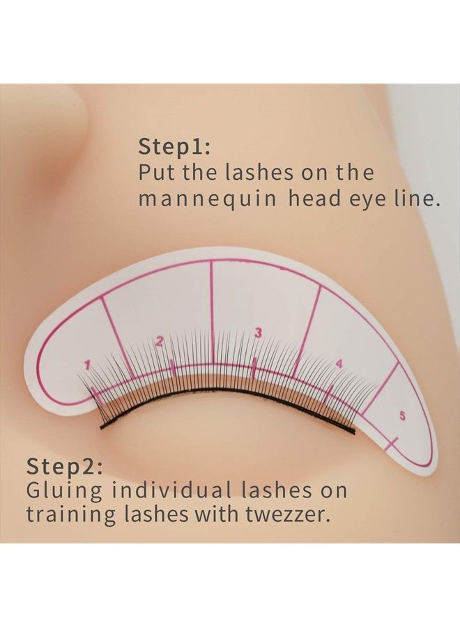 EMEDA 25 Pairs Practice Lashes for Lash Extensions Training Eyelash Extension Practice Lash Strips to Make Own Lashes Thin Band 8mm Mimic Natural Eyelash for Mannequin Head by EMEDA - Image 5