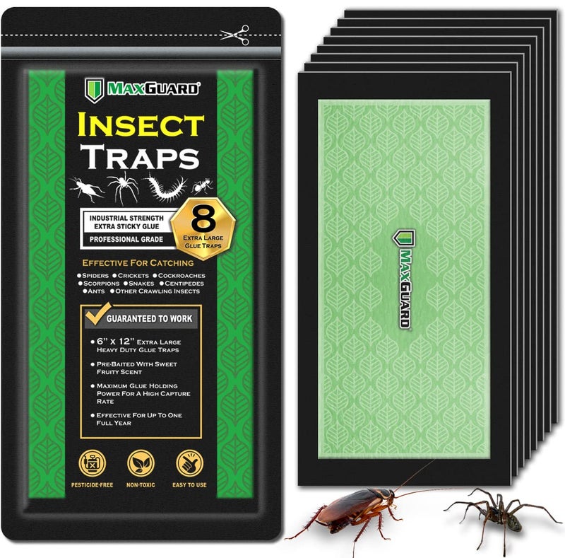MaxGuard Extra Large Insect Traps (8 Traps) | Non-Toxic Extra Sticky Pre-Baited Glue Board, Trap & Kill Most Crawling Insects, Bugs, Spiders, Crickets, Scorpions, Cockroaches, Centipedes, Snakes. - Image 1