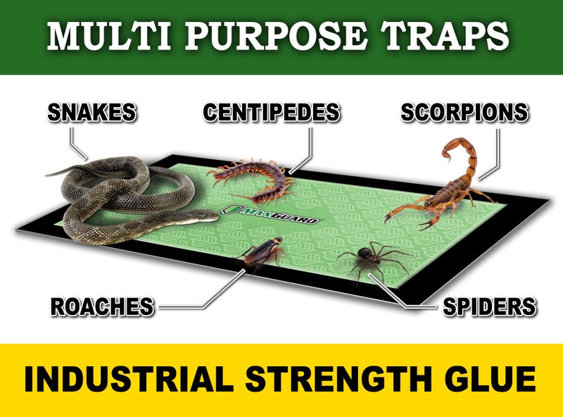 MaxGuard Extra Large Insect Traps (8 Traps) | Non-Toxic Extra Sticky Pre-Baited Glue Board, Trap & Kill Most Crawling Insects, Bugs, Spiders, Crickets, Scorpions, Cockroaches, Centipedes, Snakes. - Image 4