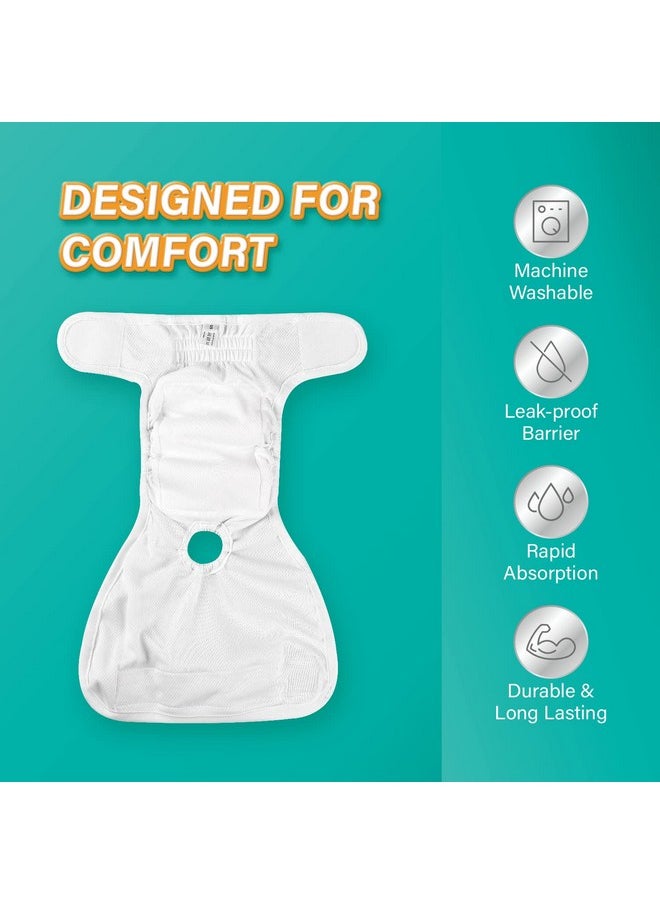 HONEY CARE HONEY CARE Washable Dog Diapers (6 Pack) of Premium Absorbent Doggie Diapers, Durable Female Dog Diapers Dress in Excitable Urination, Period, Heat, Incontinence  - Image 2