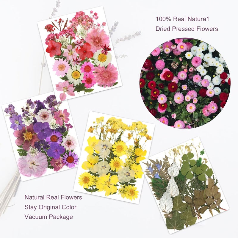 Eshow 104Pcs Natural Pressed Dried Flowers Resin, Dry Flowers for Resin Accessories, Dried Flower for Scrapbooking DIY Art Crafts, Epoxy Resin Jewelry Molds, Candle, Soap Making, Craft Making - Image 5