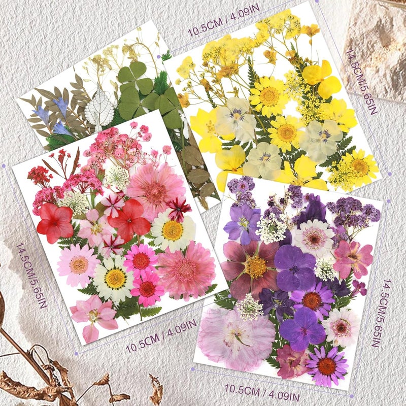 Eshow 104Pcs Natural Pressed Dried Flowers Resin, Dry Flowers for Resin Accessories, Dried Flower for Scrapbooking DIY Art Crafts, Epoxy Resin Jewelry Molds, Candle, Soap Making, Craft Making - Image 2