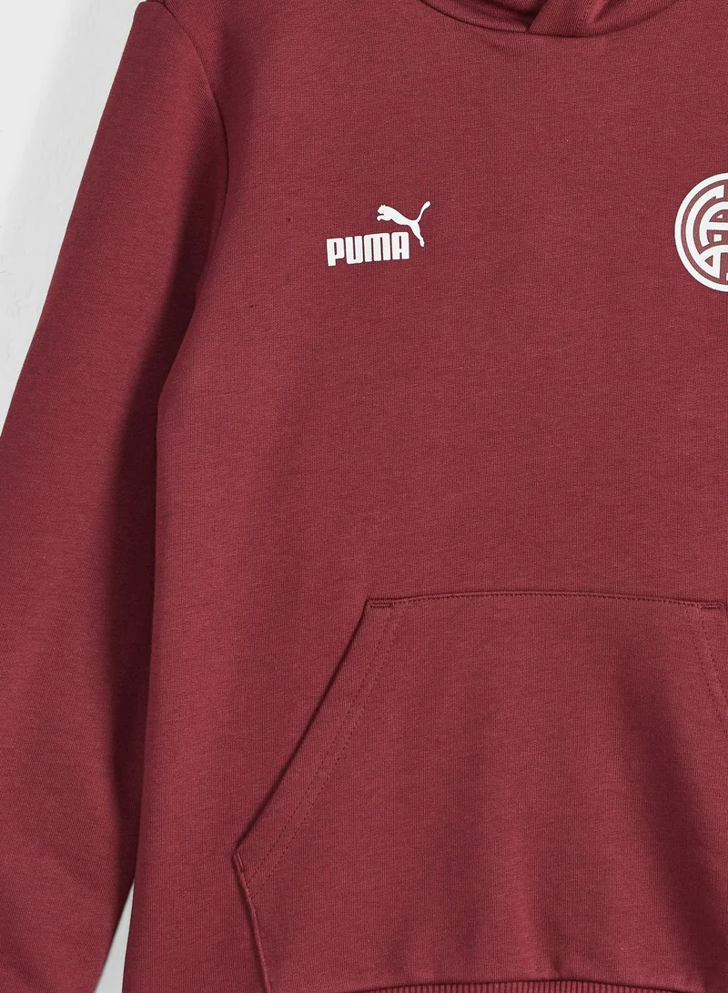 PUMA Qatar Ftblcore Kids Hoodie