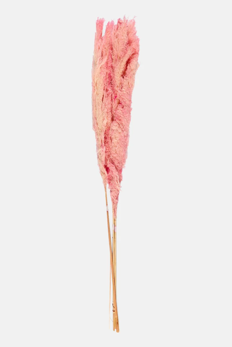 موي موتشو Artificial Plume Plant 120 cm, Assorted