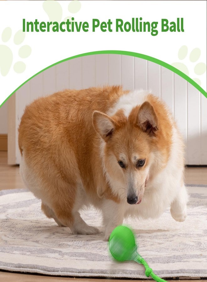 Poxtedsr 1pcs Smart Interactive Pet Toy Ball, Self Rolling Dog Ball Interactive Cat Toys, 360° Smart Automatic Rolling Ball Toy for Dogs Cats Indoor Outdoor Play (Red) - Image 3