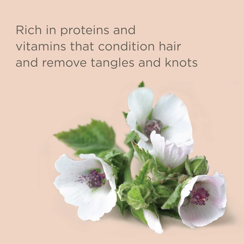 Hairitage Gentle Daily Moisture Shampoo and Conditioner Set - Split End + Bond Strengthening for Dry, Damaged Hair with Jojoba Oil - Anti-Frizz and Color Safe - Cherry + Amber Scent (21oz. 2-pack) - Image 3