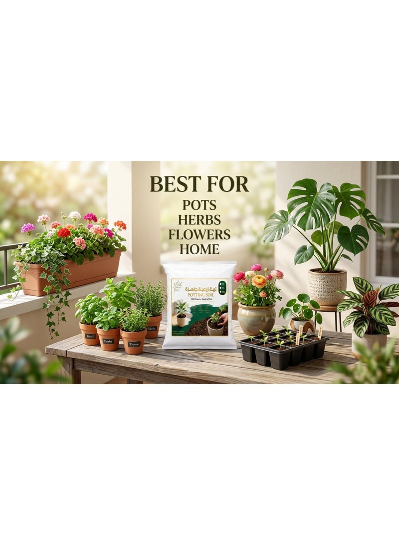 Premium Potting Soil 100% Organic Ready-to-Plant Growing Medium Nutrient Rich for Indoor & Outdoor Houseplants Flowers & Herbs - 2 L - Image 3