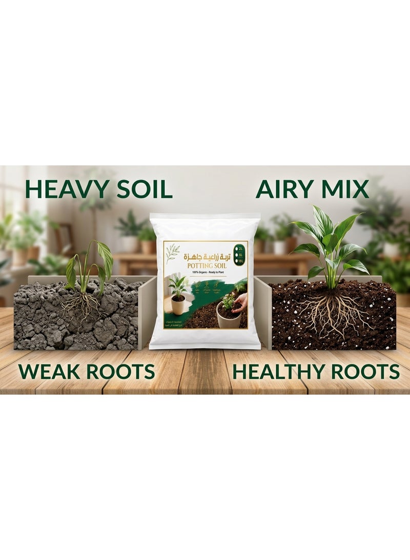 Premium Potting Soil 100% Organic Ready-to-Plant Growing Medium Nutrient Rich for Indoor & Outdoor Houseplants Flowers & Herbs - 2 L - Image 5