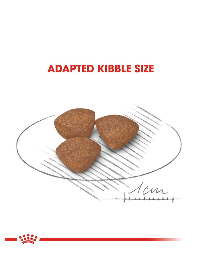 ROYAL CANIN Mini Puppy Dry Dog Food – 4KG Bag for Small Breed Puppies (Adult Weight Up to 10KG) – Complete Nutrition from 2 to 10 Months Old - Image 2