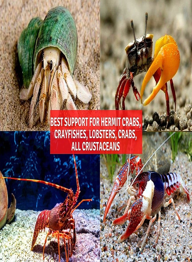 A.D.P. HIGH Protein 45 % Amphibian Food 165 g. Daily Complete Nourishing Sinking Pellets Feed Hermit Crabs, Crayfishes, Lobsters, Crab All Crustaceans, Growth Fast Color Enhancing Calcium Strengthen Shell - Image 5