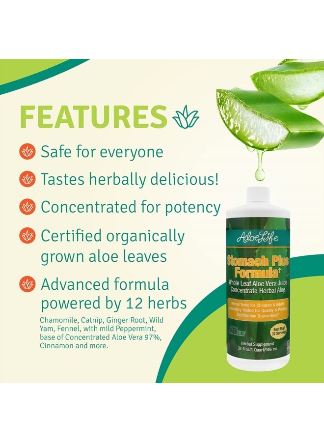 Aloe Life Stomach Plus Formula, Fast-Acting Tonic for Children, Adults, & Seniors, Supports Healthy Digestion & Helps to Soothe Gas, Bloating, & Nausea, Aloe Vera Concentrate, Gluten-Free (32 oz) - Image 5