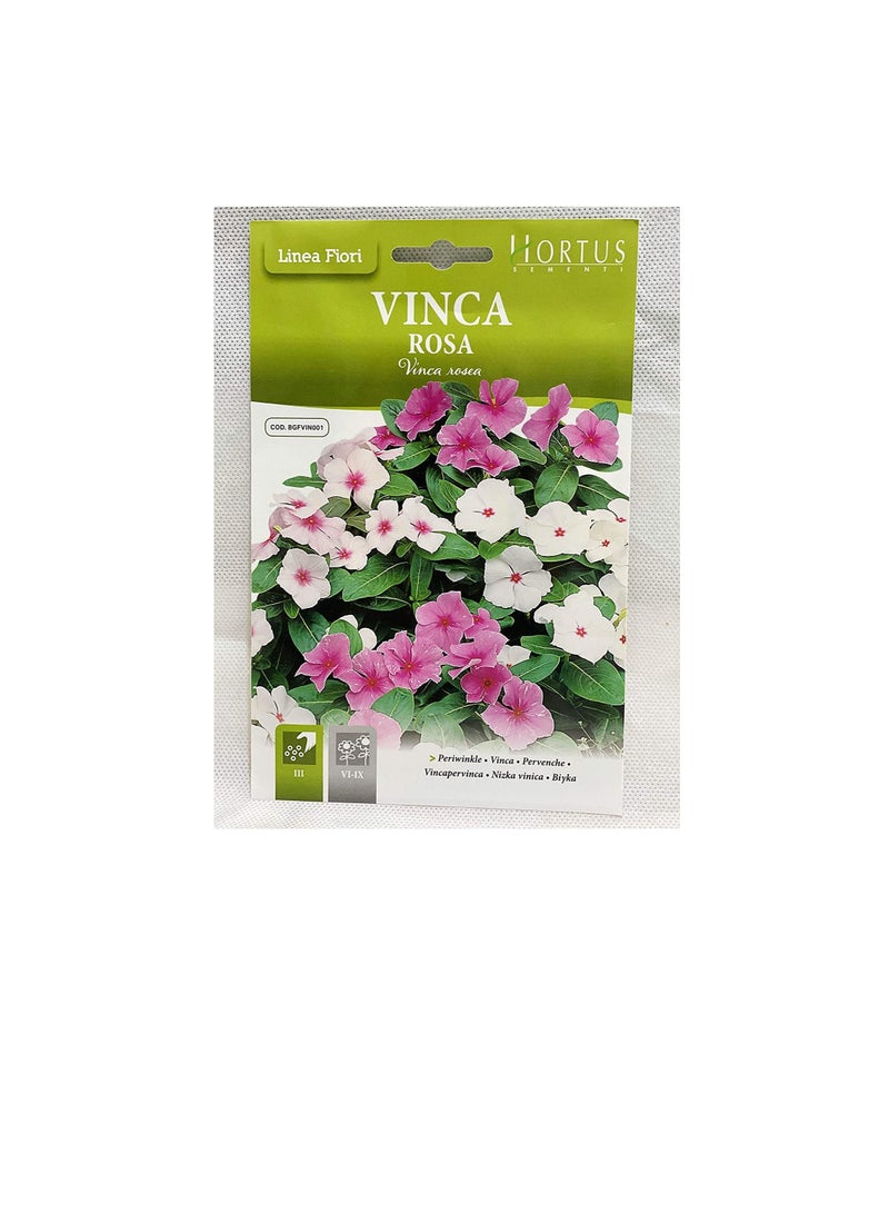Vinca rosea Seeds - Image 1