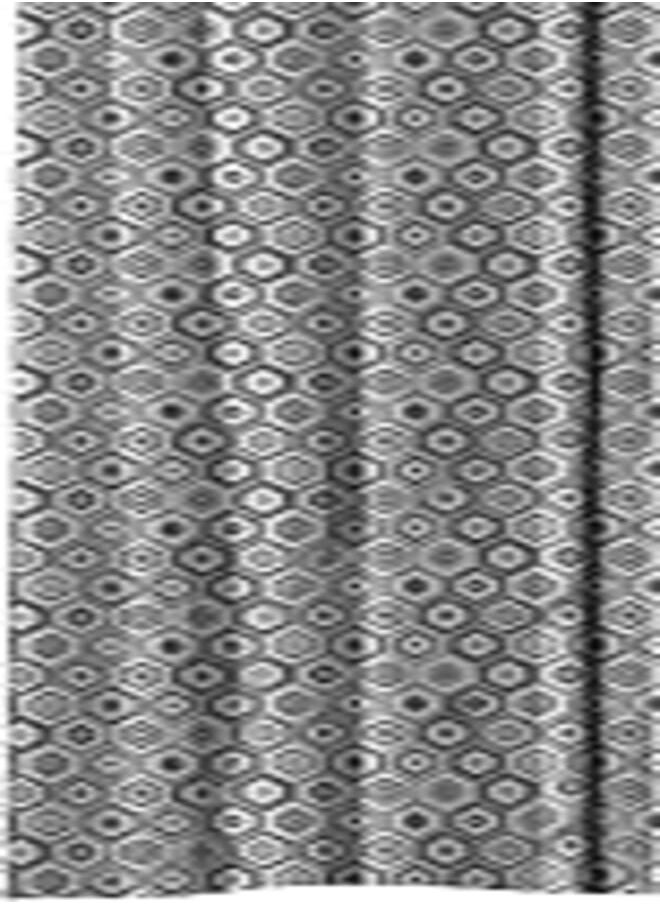 Naguib Selim NAGIUB SELIM Elegant Velvet curtains - Soft Velour fabric -Modern Multi Colour Sheer Design- Steel Grommets - for living rooms - 1 piece - 140W X 280L CM -865(7) 