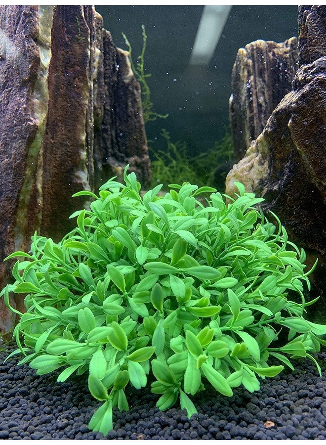 VAYINATO VAYINATO® Green Short Bush Aquarium Plastic Decoration Plants Pack of 2, Artificial Plant by Petzlifeworld - Image 3
