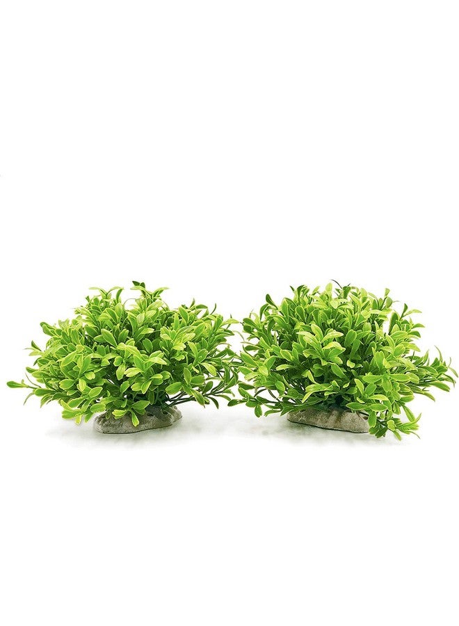 VAYINATO VAYINATO® Green Short Bush Aquarium Plastic Decoration Plants Pack of 2, Artificial Plant by Petzlifeworld - Image 1