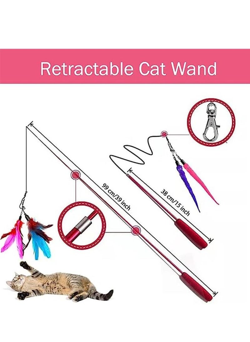 Cat Feather Toys 12 Packs, 2 PCS Retractable Cat Wand Toys and 10 PCS Replacement Refills with Bell, Interactive Cat Toys for Cat Exercise