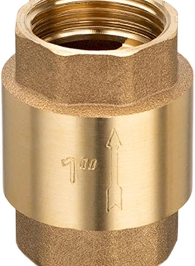 صمام فحص عمودي مزدوج من الداخل من النحاس 1 بوصة جدار سميك للكيماويات السباكة الاستخدام الصناعي - Image 1