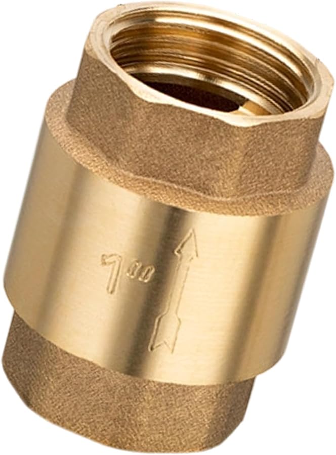 صمام فحص عمودي مزدوج من الداخل من النحاس 1 بوصة جدار سميك للكيماويات السباكة الاستخدام الصناعي - Image 5