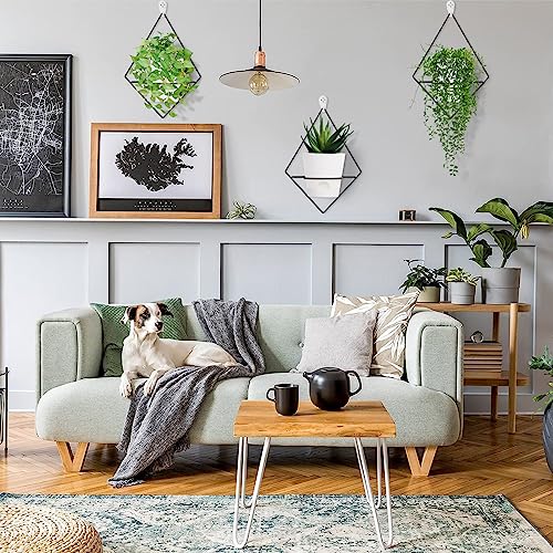 Koalaime 3 Sets Wall Planters for Indoor Plants Geometric Hanging Planters for Indoor Plants - Self-Watering Flower Pots with Black Metal Holder, Mounted Succulent Planter, 5" Black Plant Pot - Image 2
