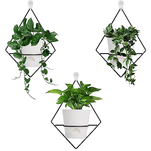 Koalaime 3 Sets Wall Planters for Indoor Plants Geometric Hanging Planters for Indoor Plants - Self-Watering Flower Pots with Black Metal Holder, Mounted Succulent Planter, 5" Black Plant Pot - Image 1
