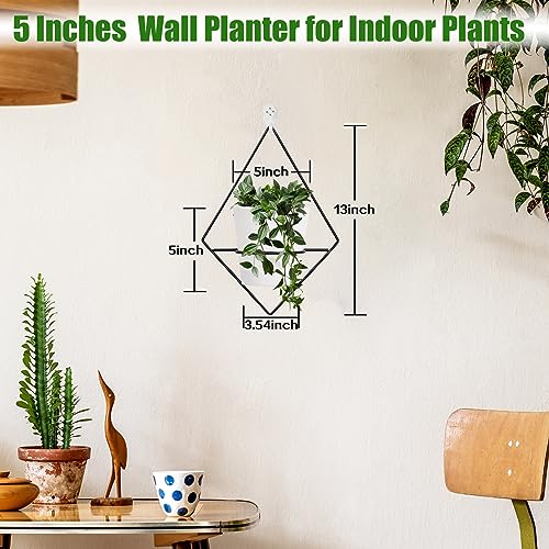 Koalaime 3 Sets Wall Planters for Indoor Plants Geometric Hanging Planters for Indoor Plants - Self-Watering Flower Pots with Black Metal Holder, Mounted Succulent Planter, 5" Black Plant Pot - Image 5