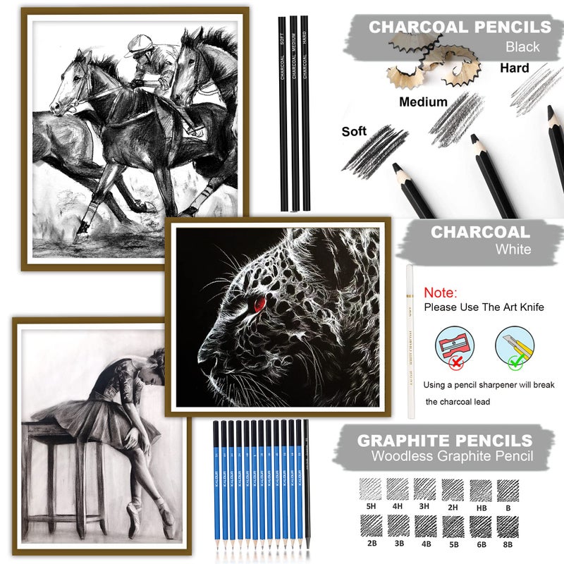 KALOUR 33 Pro Drawing Kit Sketching Pencils Set,Portable Zippered Travel Case-Charcoal Pencils, Sketch Pencils, Charcoal Stick,Sharpener,Eraser.Art Supplies for Artists Beginner Adults Teens - Image 3
