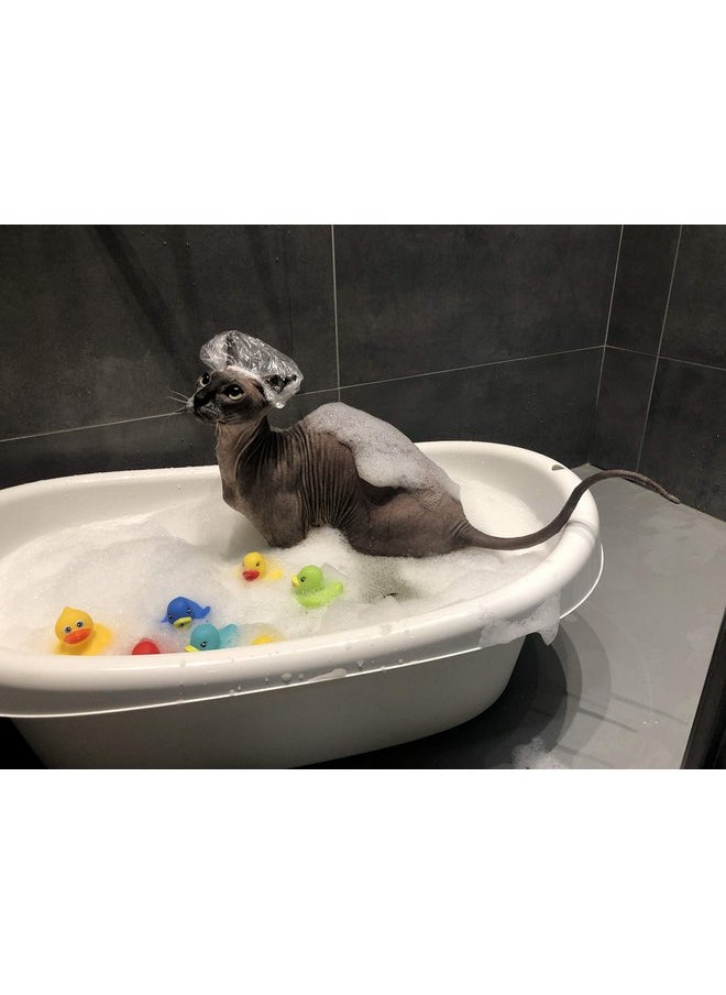 Kotomoda - Kotomoda Probiotic Shampoo for Sphynx Cats (4.22) - Image 1